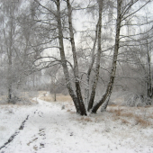 5-brezie so šiestou bočnou