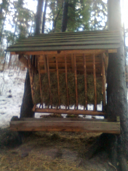 aj zver potrebuje mat Vianoce :)