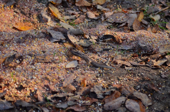 Kto sa stará, ten má