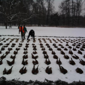 spolocna v Palarikove