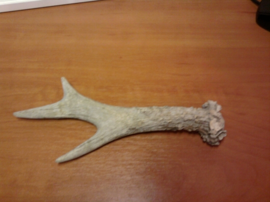 dnes po šichte...poteší