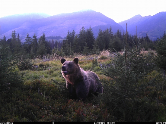 2,3 v poriadku, 4 kaz....