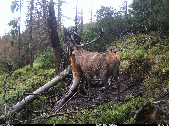Ešte trochu soli a idem nato!