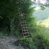 Jednoduchý posed
