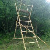 A môžeme pozorovať!