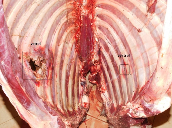 Norma Soft Point 8,4g-270w