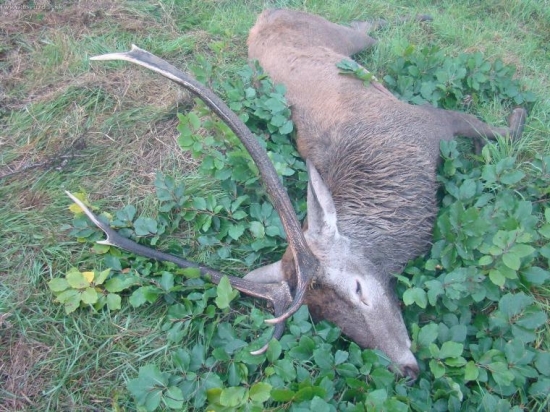 Dnes ráno III. VT - č.1