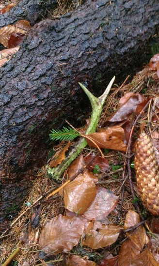 Starší ale potešil