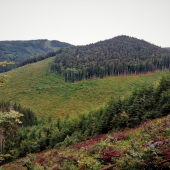 Poobedná vychádzka..