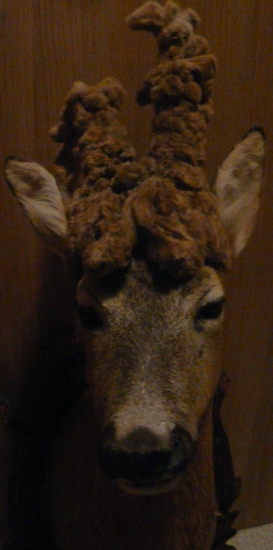 Keď sa nedarí a potom.....