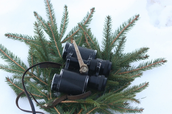 môj prvý srnčí zhod