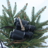 môj prvý srnčí zhod