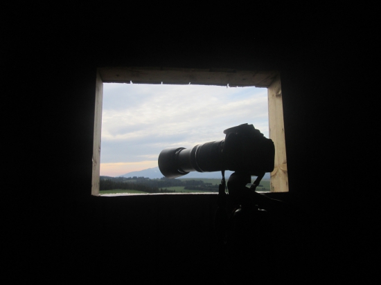 čakal som na jazveca