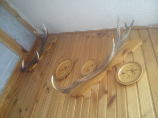 ked už nemajú páru tak aspoň takto