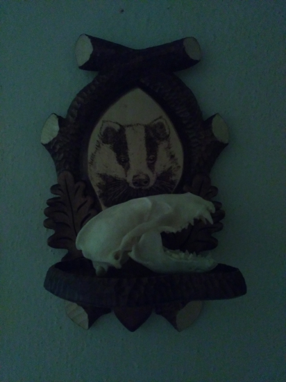 Dostal som podložku