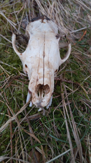 Z kmotry veľa nezostalo