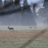 o chvíľu to začne
