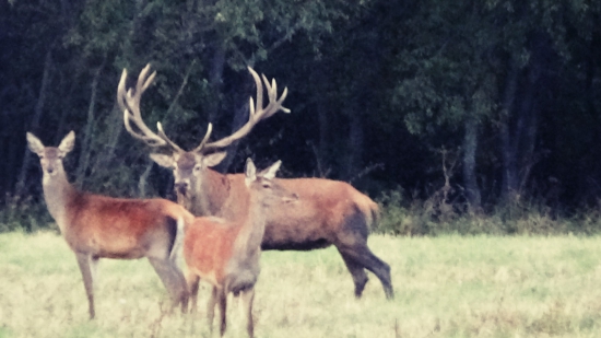 Najlepšie obdobie v roku !