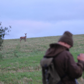 Ani som si ju nevšimol