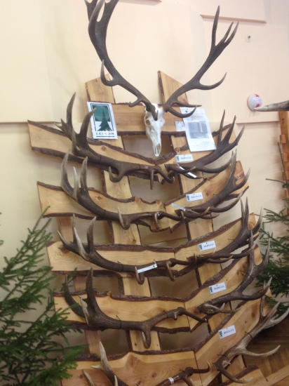 Vývojová rada jeleňa