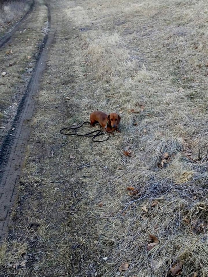 učíme sa odloženie...