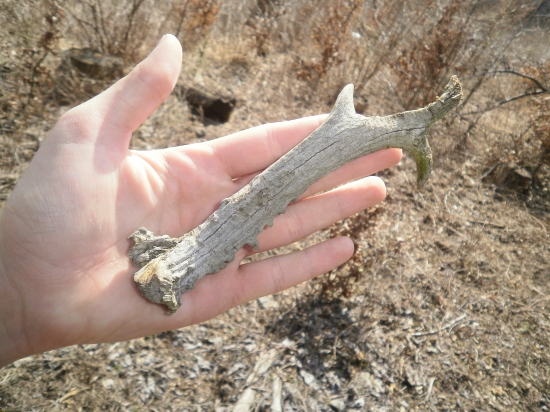 KOLKO ROKOV TAM LEZAL ?