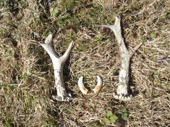 Keď som kráčal so ŠŤASTÍM :) + popis