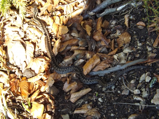 Radšej som použil pravidlo pravej ruky :)