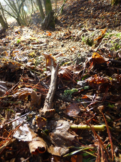 Nestúpim nenájdem :)