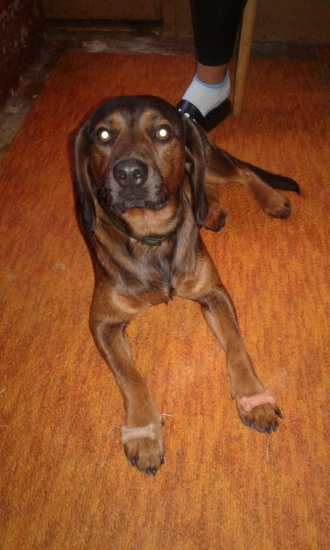 Koncentrácia 1r. Tatranského duriča