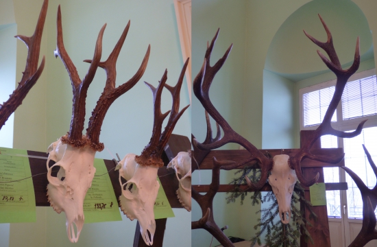 Najsilnejšie trofeje Levoča