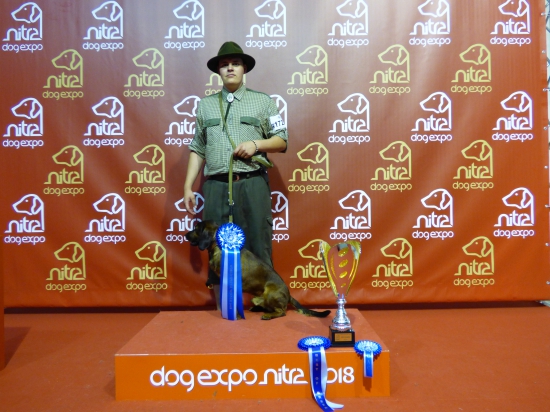 DON Vaľaškovce CAC,BOB,WSW2018. Výstava Nitra dogexpo