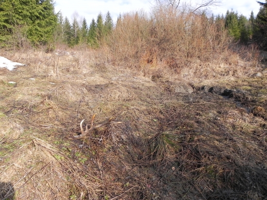 10torak a uz je vonku