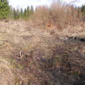 10torak a uz je vonku