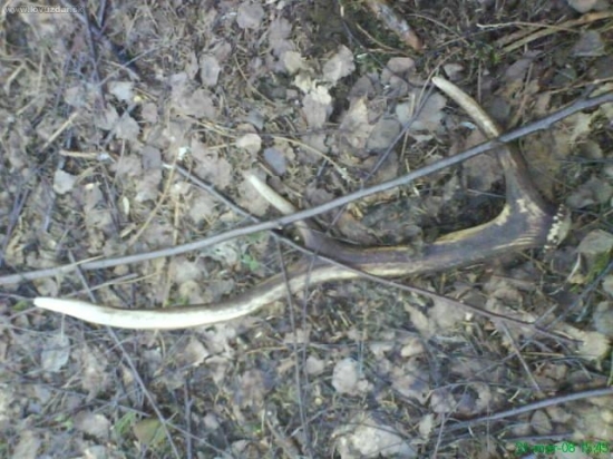 sestak bol tu uz pridany minule ale kedze su fotky fuč....