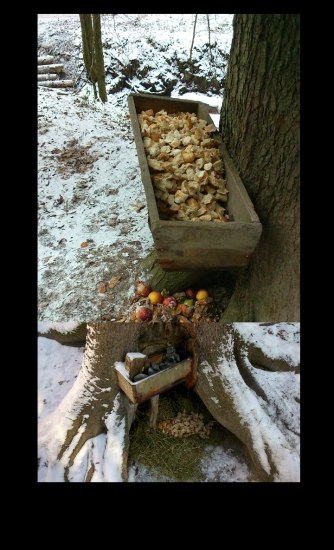 Dnešné prikrmovanie