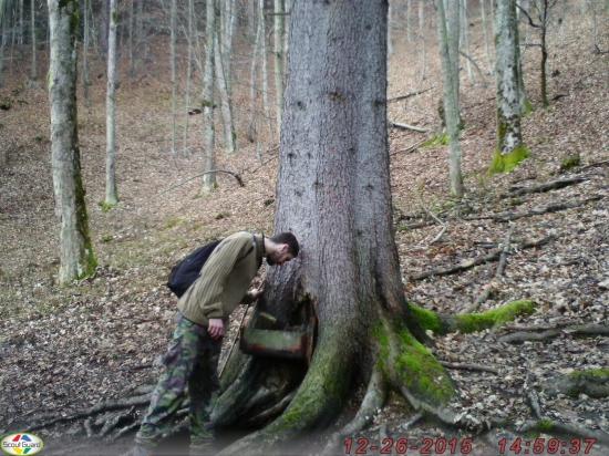 Moja prvá fotka z fotopasci čakal som zver, ale..