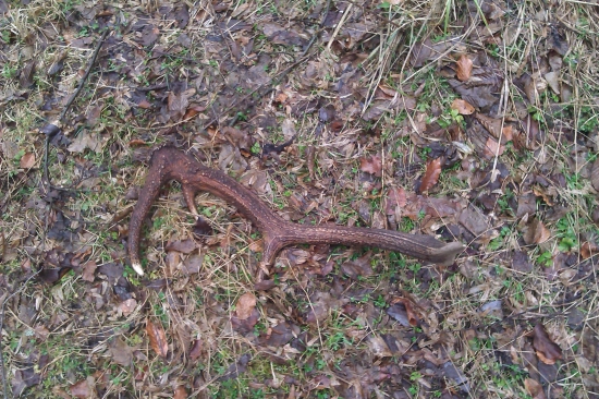 Moj posledný spomienka na 2014