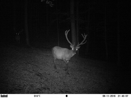 Prišiel zapózovať