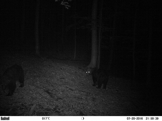 Choď pozrieť čo nás fotí...