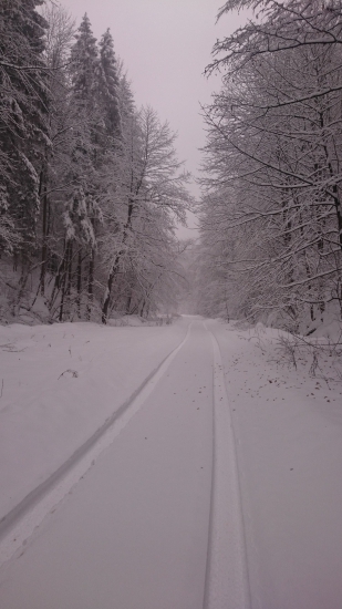 Cestou zasneženou si kráčam
