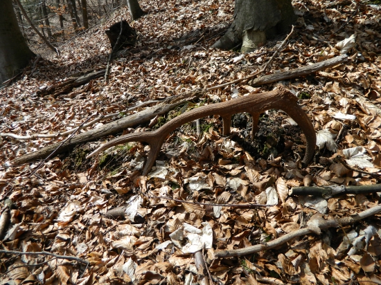 Zapichnutý 10toráčik