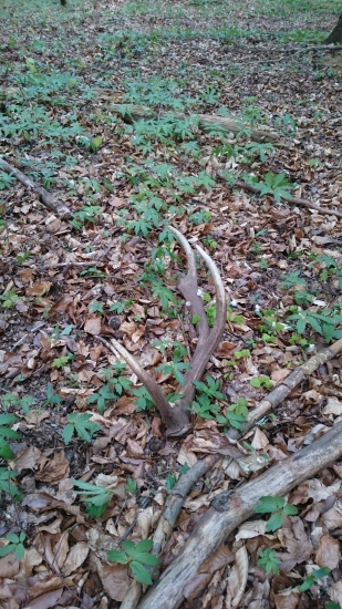 Veľkonočný 10toráčik