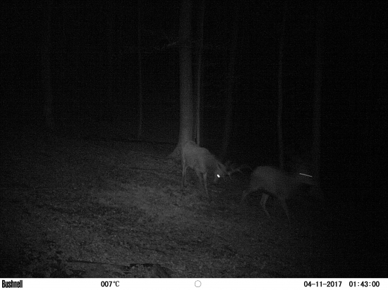 Toto je moje územie