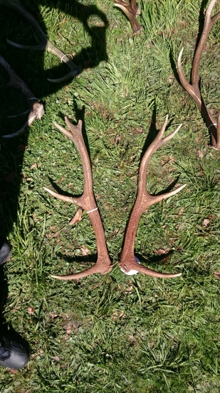 Tak sa znova stretli... Id môjho: 315702