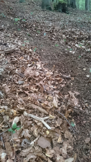 Pri čistení chodníka