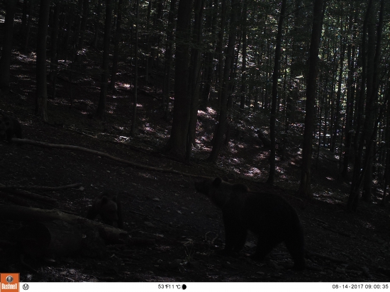 Mama dačo vetrí vo vzduchu