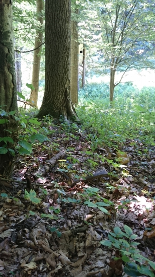 Ten si už tam poležal