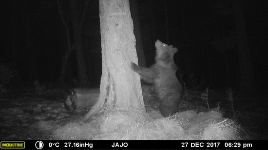To je riadne vysoký strom..