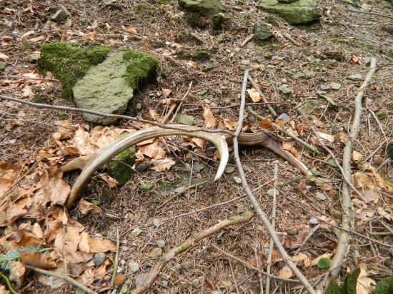 Rok si na mňa počkal..